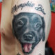 evergreen farewells sustainable memorials and dog tattoo tributes that last