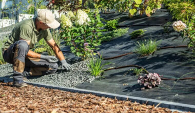 mulch smart building resilient yards with soil friendly cover