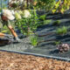 mulch smart building resilient yards with soil friendly cover