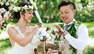 san diego butterfly releases planning ethics and magic for weddings and milestones