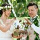 san diego butterfly releases planning ethics and magic for weddings and milestones