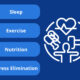 4 Pillars of Balanced Health to Help You Thrive