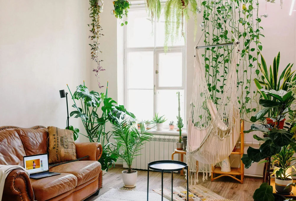 Plants and green elements as tools for better home design