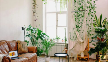 Plants and green elements as tools for better home design