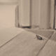 When Roaches From a Neighbor Become a Legal Problem