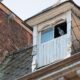 Bats in the Attic What the Noises and Signs Really Mean