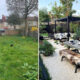 From Empty Lawn to Ultimate Staycation How to Redesign Your Backyard