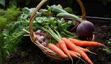 Homegrown Harvest Top Vegetables for a Thriving Garden