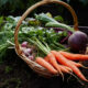 Homegrown Harvest Top Vegetables for a Thriving Garden