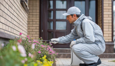 How to Pest Proof Your Property During Major Home Renovations