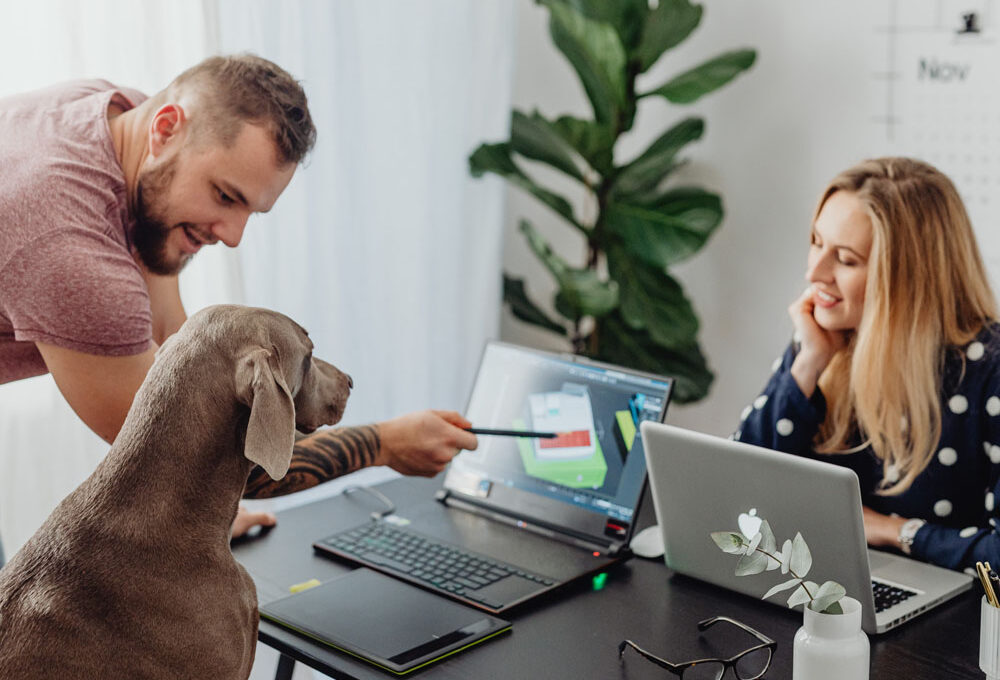 Key Factors to Consider When Choosing a Dog Liability Insurance Provider