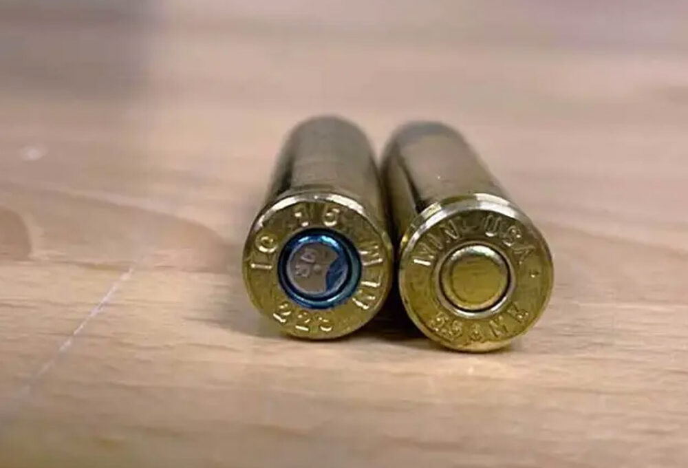 Right 5.56 Ammo for Target Practice