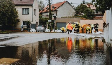 Simple Ways To Prevent A Wet And Muddy Yard