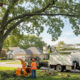 Smart Tree Care for Southern Maryland Homeowners Protecting Your Property and Community
