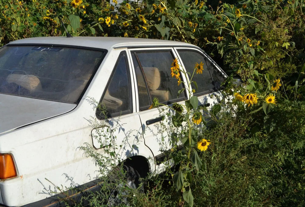 Why Leaving an Unused Car in Your Driveway Costs More Than You Think