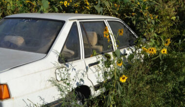 Why Leaving an Unused Car in Your Driveway Costs More Than You Think