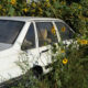 Why Leaving an Unused Car in Your Driveway Costs More Than You Think