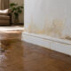 5 Signs of a Hidden Water Leak Every Homeowner Should Know