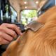 6 Best Mobile Dog Grooming Services In Minneapolis And The West Metro