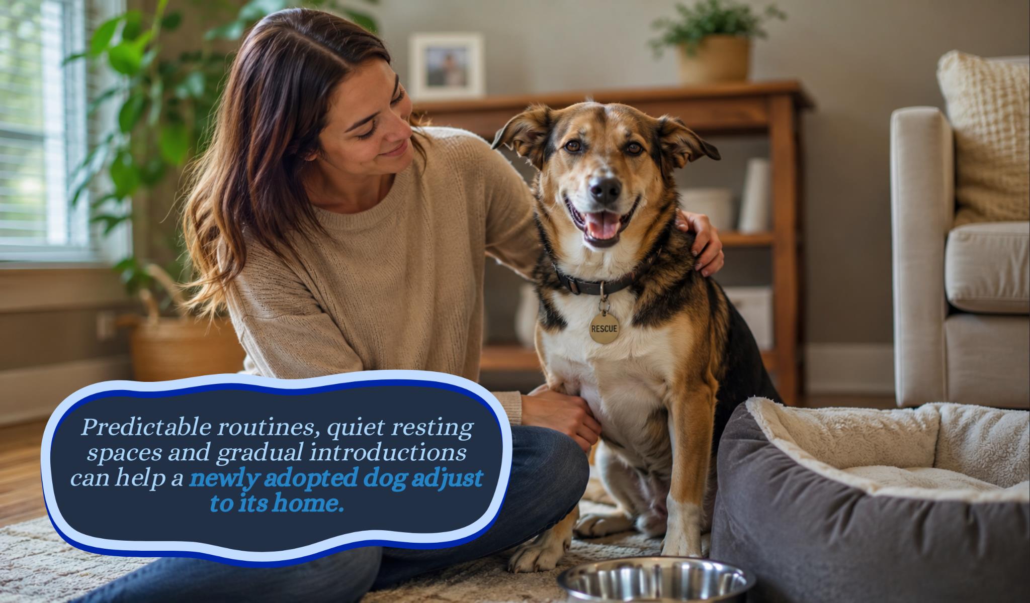 9 Health Checks Every Newly Adopted Rescue Dog May Need Featuring Sploot Care Tips 2