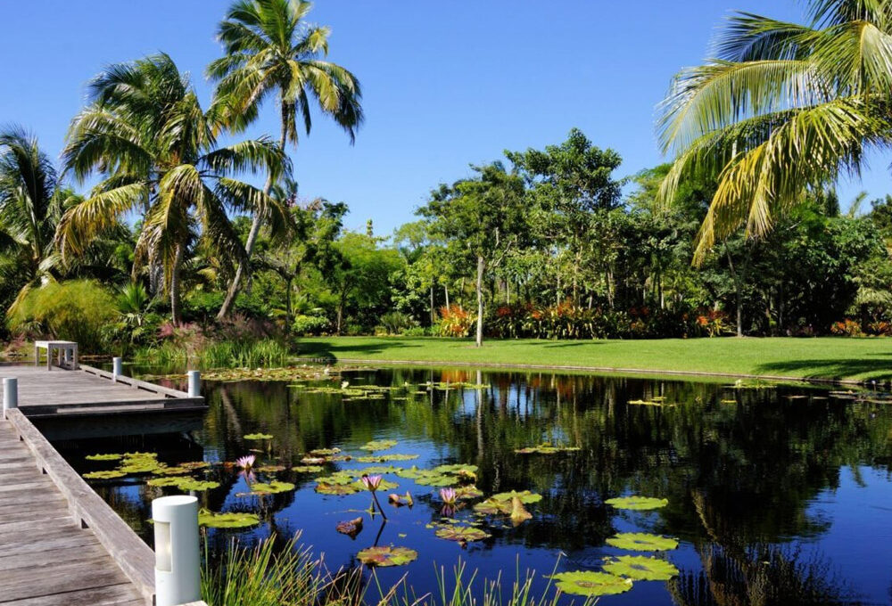 Best Outdoor Activities to Enjoy in Naples Florida