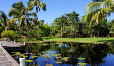Best Outdoor Activities to Enjoy in Naples Florida
