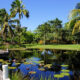 Best Outdoor Activities to Enjoy in Naples Florida