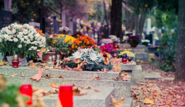 Cremation vs Burial