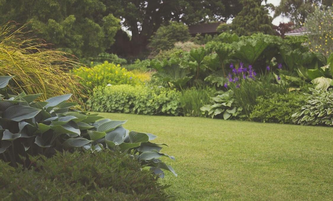 Essential Tools Every Home and Garden Should Have 1