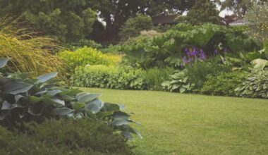 Essential Tools Every Home and Garden Should Have 1