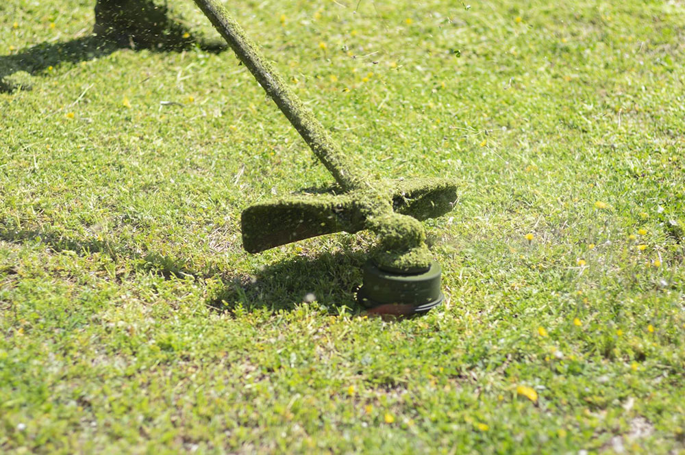 Essential Tools Every Home and Garden Should Have 2