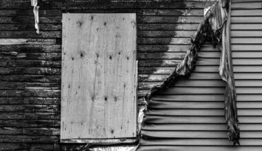 How Damaged Siding Can Cost You More Than You Think