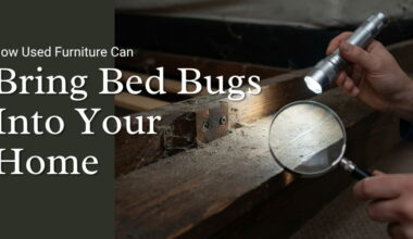 How Used Furniture Can Bring Bed Bugs Into Your Home