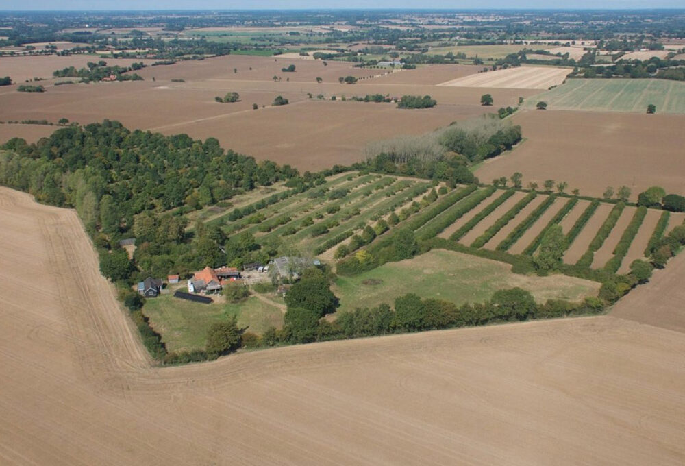 How a Tree Farm Supports Healthy Landscape Development