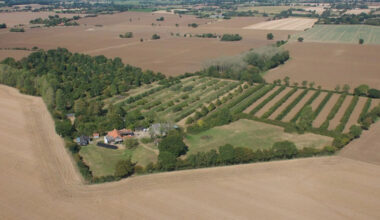 How a Tree Farm Supports Healthy Landscape Development