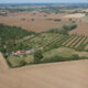 How a Tree Farm Supports Healthy Landscape Development