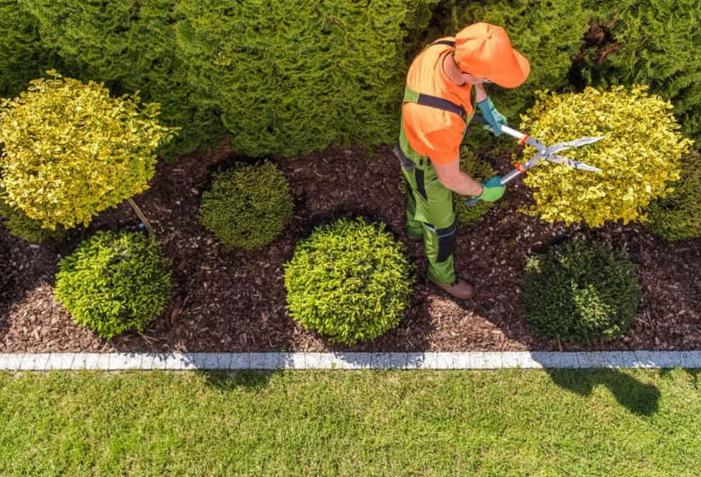 How to Safely Assess and Rehabilitate Your Landscape After Severe Weather