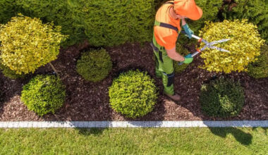 How to Safely Assess and Rehabilitate Your Landscape After Severe Weather