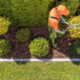 How to Safely Assess and Rehabilitate Your Landscape After Severe Weather
