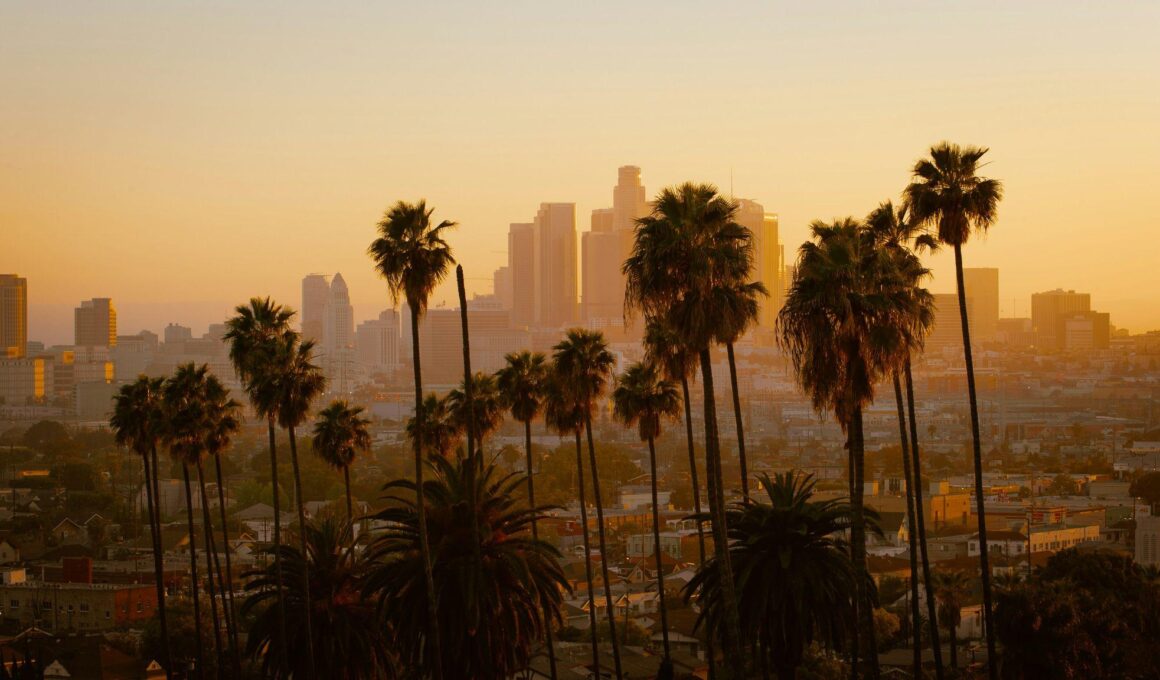 The LA Suburb Loophole Why Buyers Are Escaping Downtown