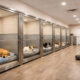 Tips for Choosing the Right Dog Boarding Facility