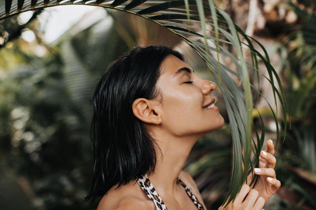 What Are the Best Plant Based Ingredients in Skincare Products