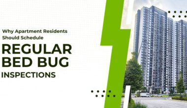 Why Apartment Residents Should Schedule Regular Bed Bug Inspections