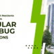 Why Apartment Residents Should Schedule Regular Bed Bug Inspections