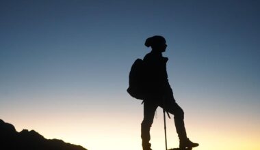 Why Discerning Travelers Are Booking Private Sporting Preserves