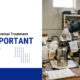 Why is Bed Bug Chemical Treatment Still Important Today