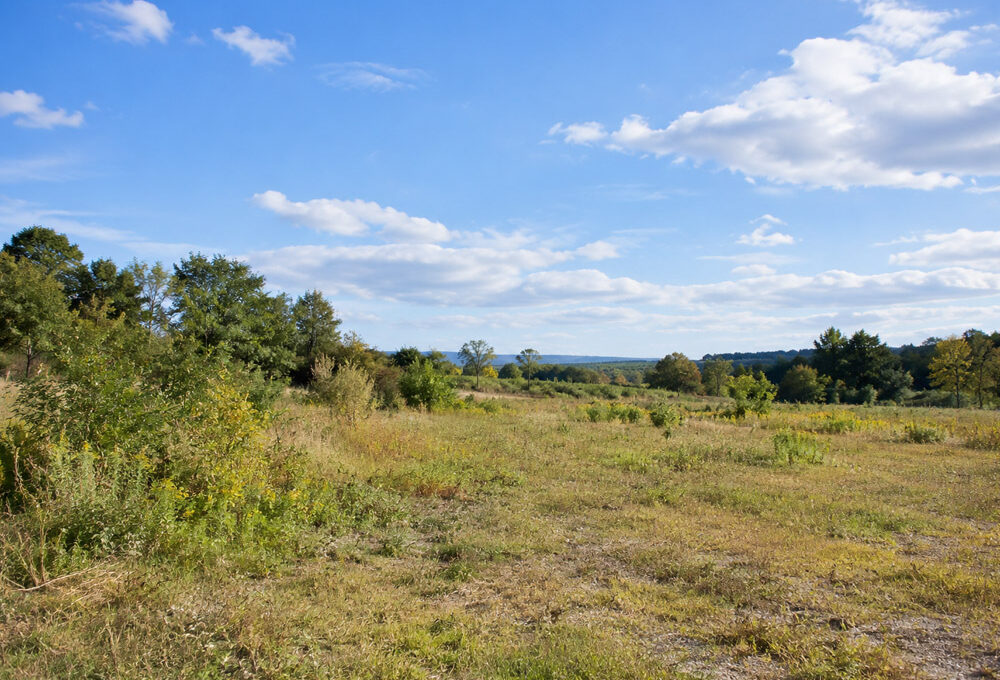 5 Reasons Your Vacant Land Is Sitting on the Market and How to Fix It