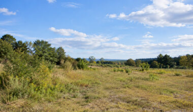 5 Reasons Your Vacant Land Is Sitting on the Market and How to Fix It