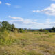 5 Reasons Your Vacant Land Is Sitting on the Market and How to Fix It