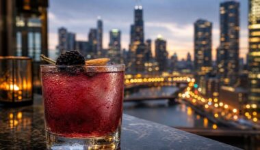 6 Best Luxury Hotels in Downtown Chicago for Rooftop Views Riverwalk Access and Events